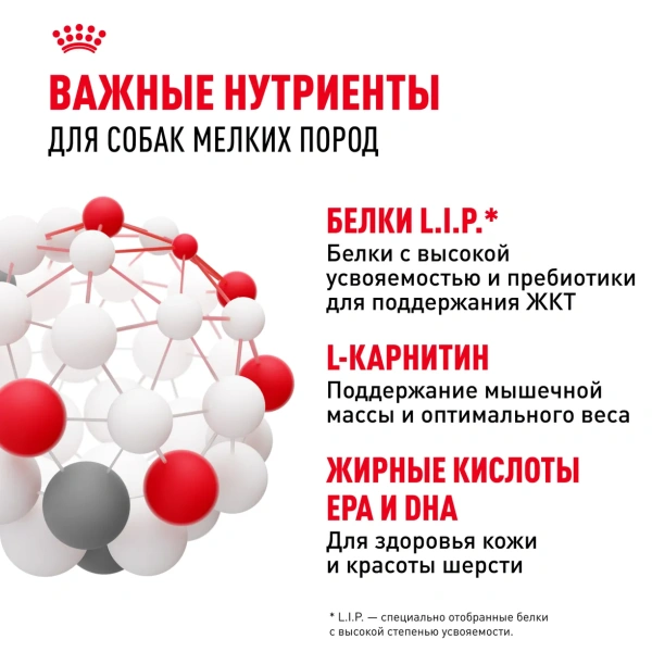 Корм для собак Royal Canin оптом. 