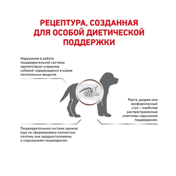 Корм для собак Royal Canin оптом. 