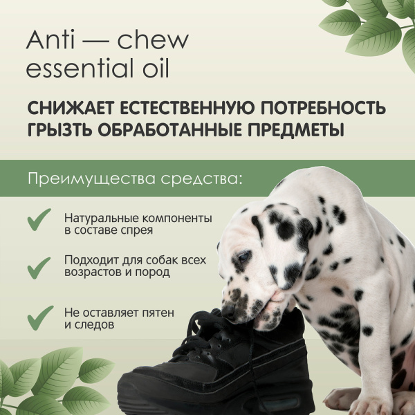 Тамачи Спрей от погрызов для собак, 200 мл (годен до 01.26г)