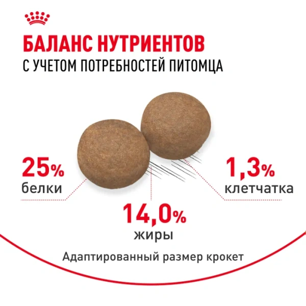 Корм для собак Royal Canin оптом. 