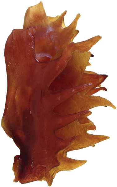 Корм для собак Деревенские Лакомства оптом. 