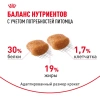 Пудель Эдалт 1.5 кг