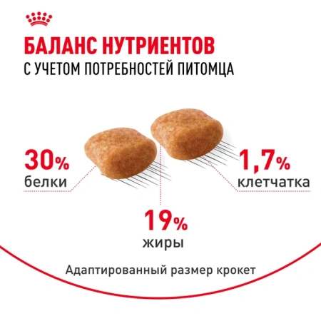 Пудель Эдалт 1.5 кг