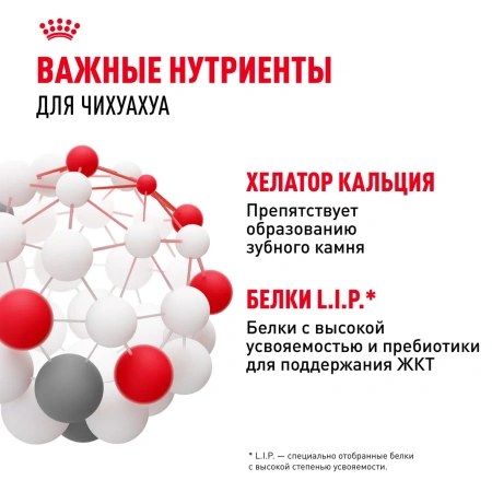 Чихуахуа 0,5 кг