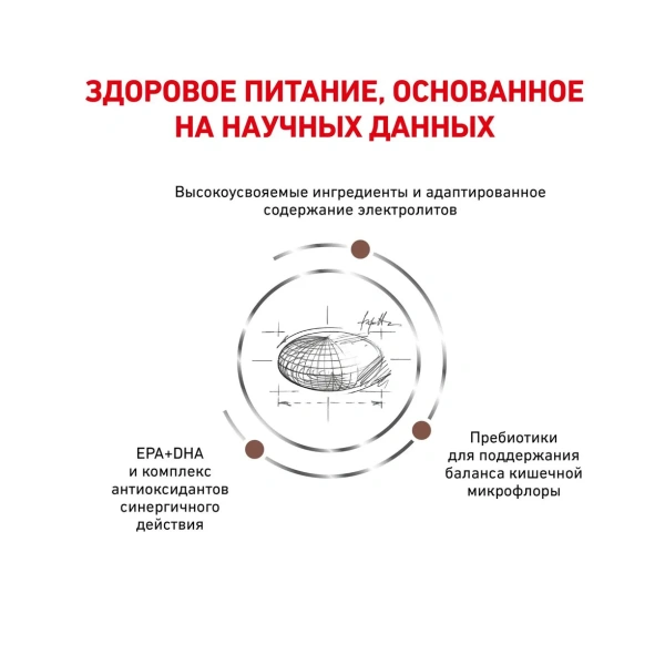 Корм для собак Royal Canin оптом. 