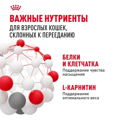 Аппетайт Контр Кэа желе 28*85г