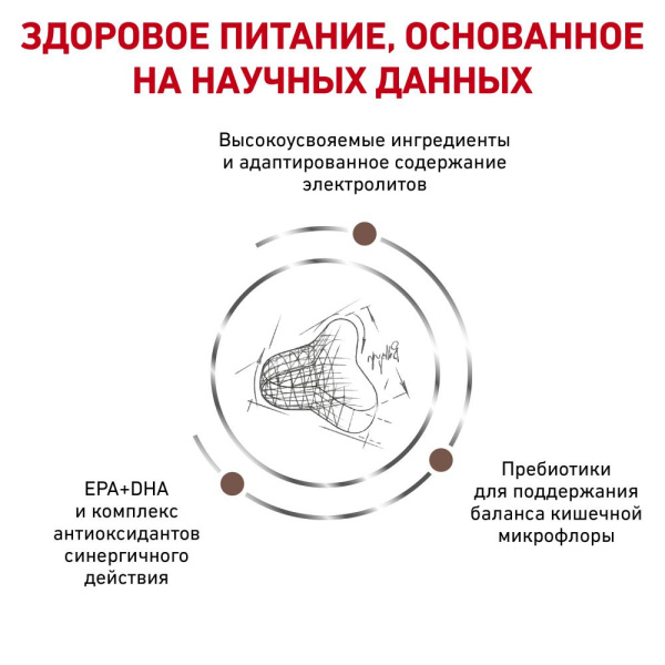 Гастроинтестинал Файбр Респонз  (фелин) 2кг