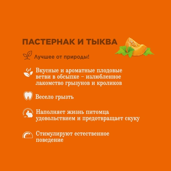 Лак-во Little One Лаком.Ветви с пастерн. тыквой. лак-во д/всех видов грызунов