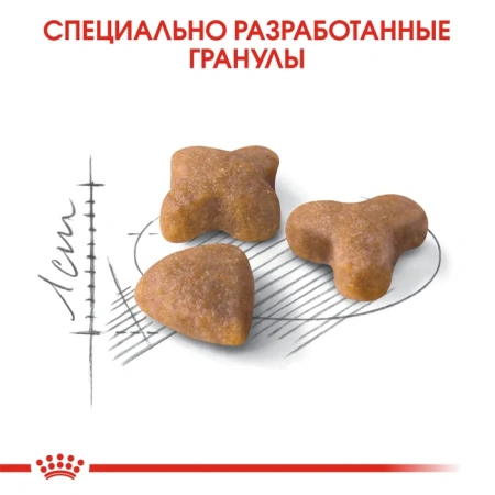 ФХН7 Сенсибл 2кг