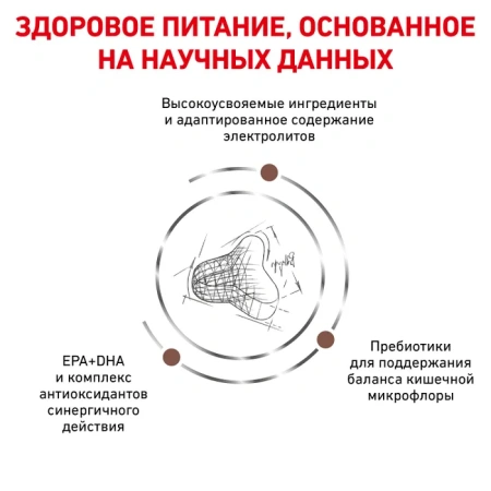 ГАСТРОИНСТЕНСТИНАЛ Файбр Респонз  (фелин) 0,35кг