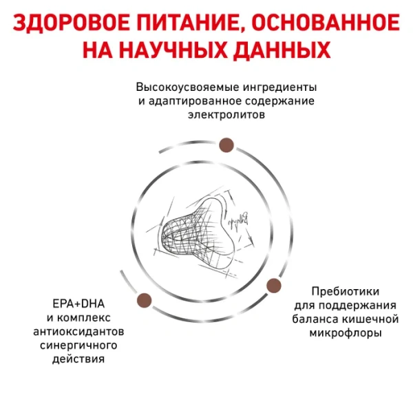 ГАСТРОИНСТЕНСТИНАЛ Файбр Респонз  (фелин) 0,35кг