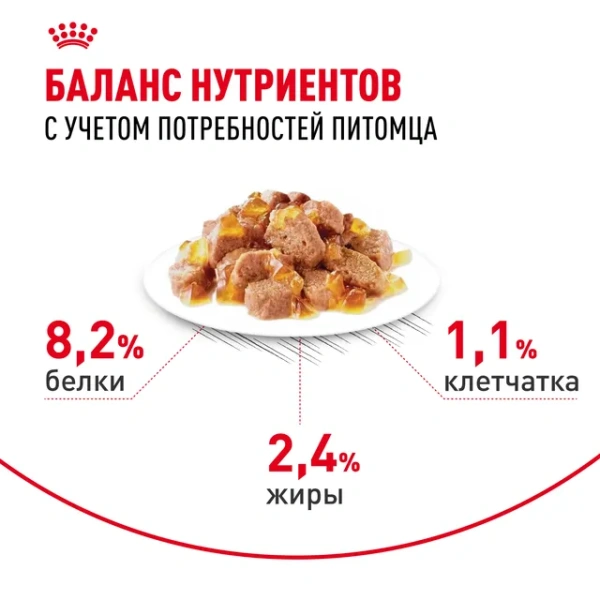 Аппетайт Контр Кэа желе 28*85г