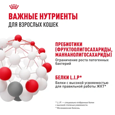 Дайджестив Кэа Кошка 0,4 кг