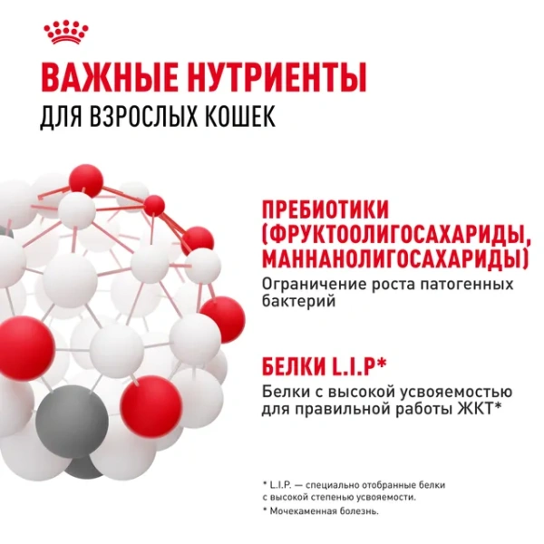 Дайджестив Кэа Кошка 0,4 кг