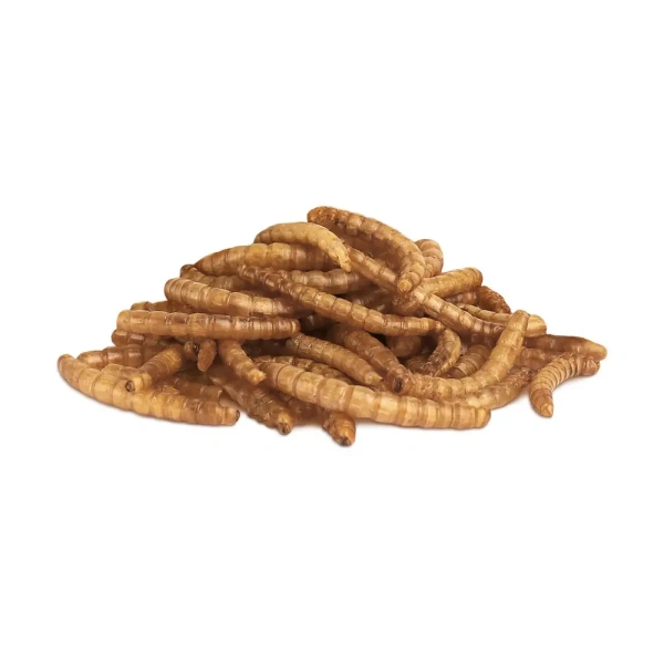 Лак-во Little One Мучной червь./банка Лакомство д/всеядных грызунов*6