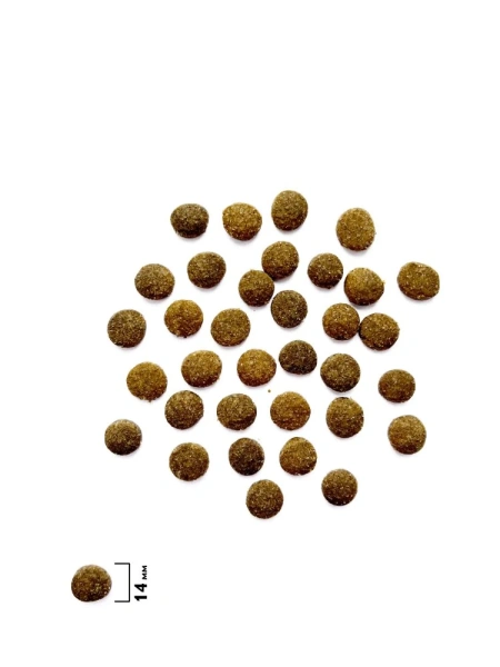 Корм для собак Брит оптом. 