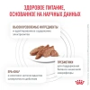 Гастроинт собаки паштет 28*85г