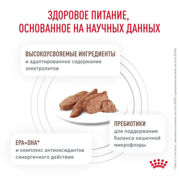 Корм для собак Royal Canin оптом. 