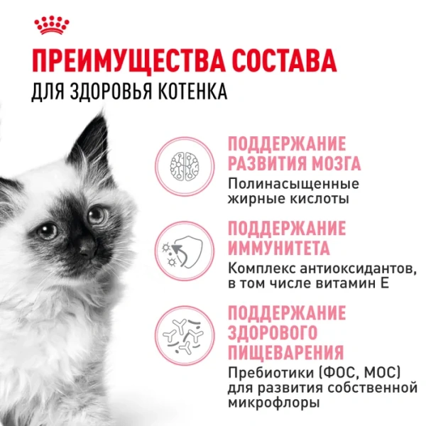 Киттен  2кг
