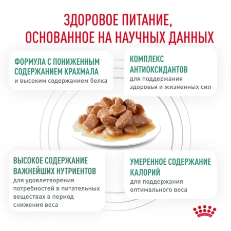 Диабетик кошка соус 28*85г