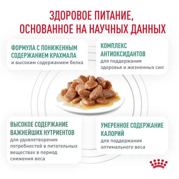 Диабетик кошка соус 28*85г