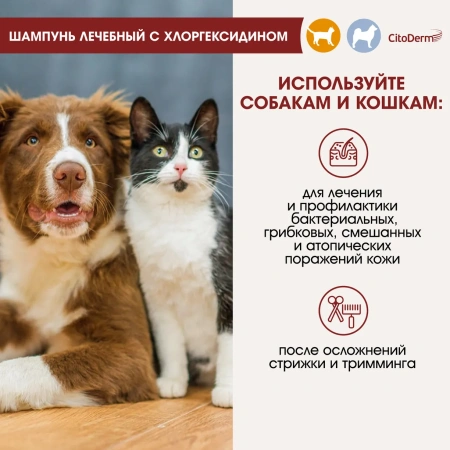 Цитодерм шампунь с хлоргексидином 200мл