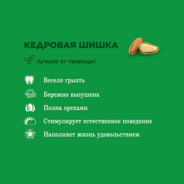 Лак-во Little One Шишка кедровая 1*8