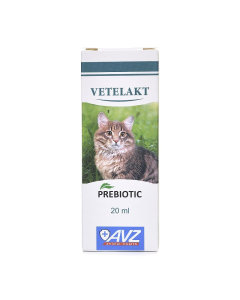 Ветелакт (пребиотик) для восстановления микрофлоры кишечника