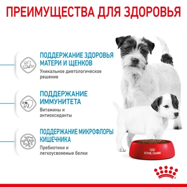 Корм для собак Royal Canin оптом. 