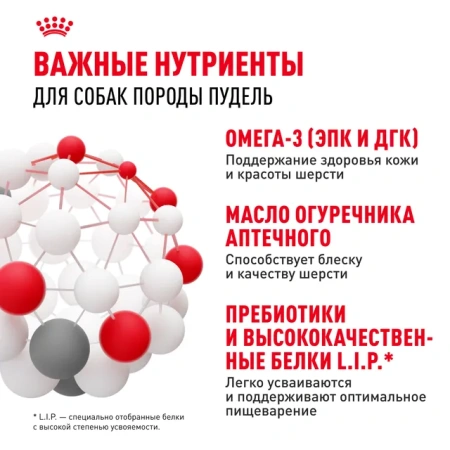 Пудель Эдалт 1.5 кг