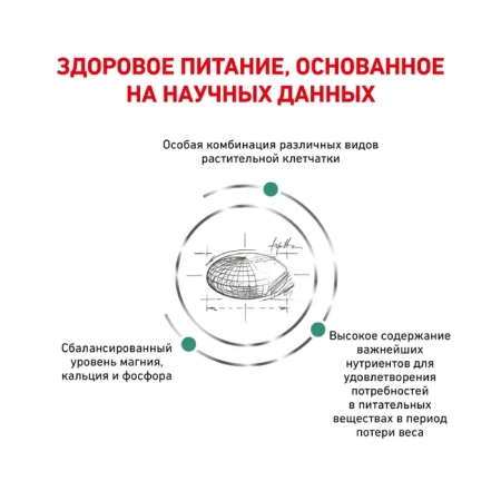 Сэтайети Смол Догз (канин) 3 кг
