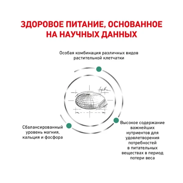 Корм для собак Royal Canin оптом. 