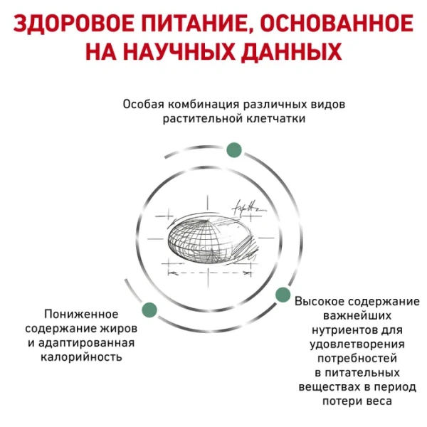 СЭТАЙЕТИ ВЕЙТ МЕНЕДЖМЕНТ 3,5кг СРОК 01.11.25