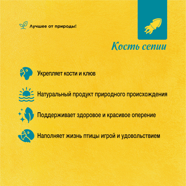 РИО Кость сепии/панцирь  размер XL (д/средних и крупных попугаев)*8