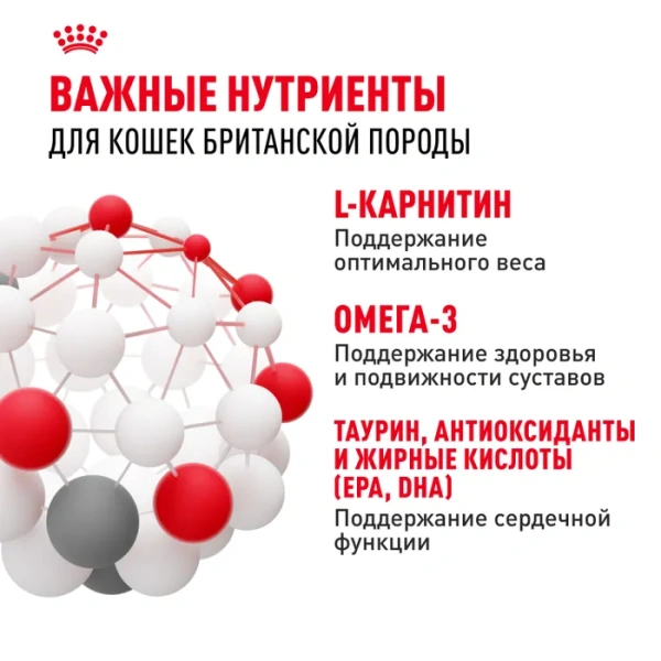 ФБН Британская короткошерстная 10,0кг Под заказ 