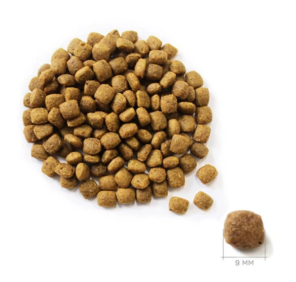 ПЕППО д/к Чувств. пищеварение Индейка 10кг сух.