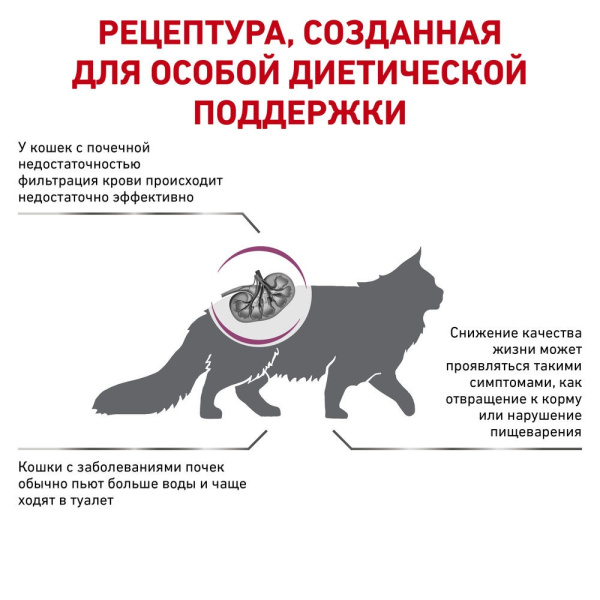 Ренал фелин 2 кг