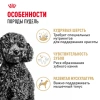 Пудель Эдалт 1.5 кг