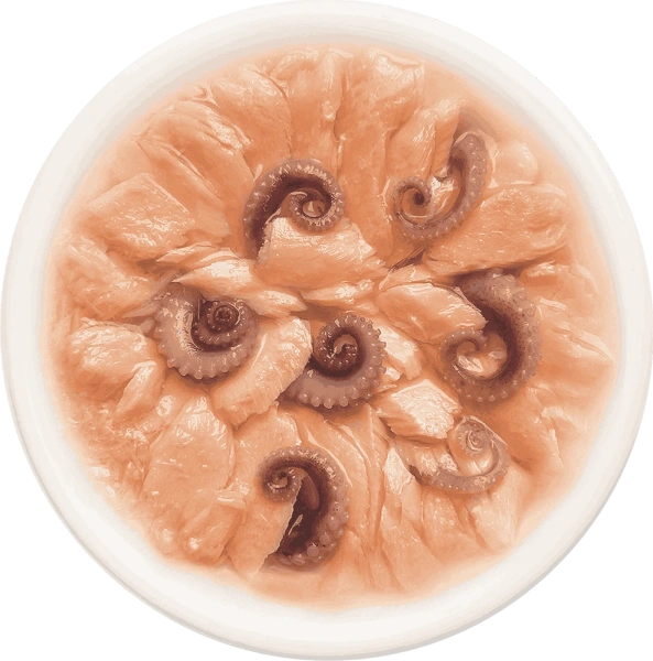 Деревенские лакомства пауч. д/кошек Лосось с осьминогом в нежном желе, 70г