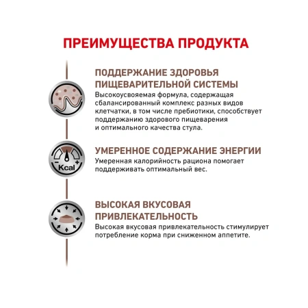 Гастроинтестинал фелин 2 кг