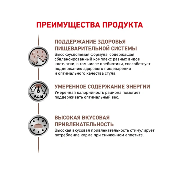 Гастроинтестинал фелин 2 кг