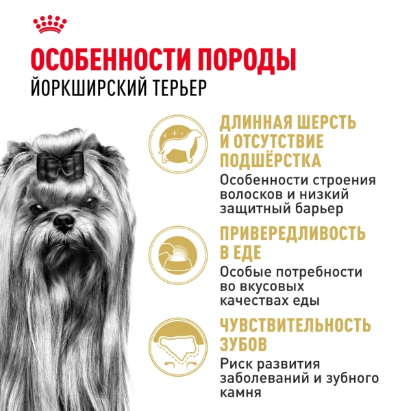 Корм для собак Royal Canin оптом. 