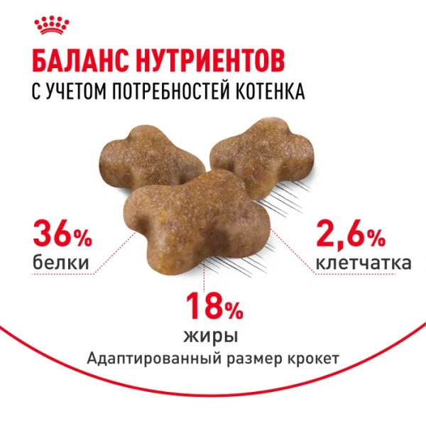 Киттен  2кг