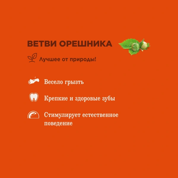 Лак-во Little One Палочки для изгрызания  д/всех грызынов Ветви орешника