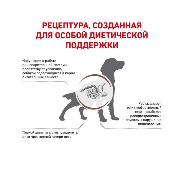 Корм для собак Royal Canin оптом. 