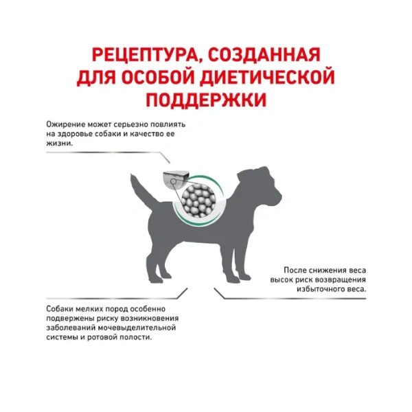 Корм для собак Royal Canin оптом. 