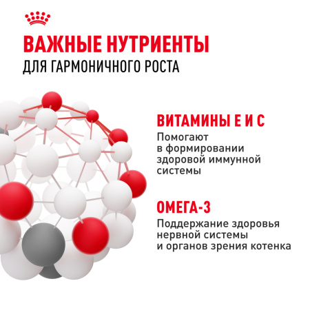 Киттен в соусе/ 85 гр *28