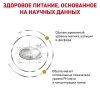 Уринари СО/ ЛП-34 диета для кошек при МКБ 0,35кг/фелин