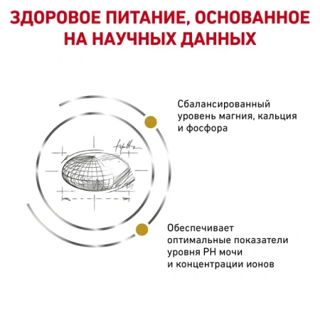 Уринари СО/ ЛП-34 диета для кошек при МКБ 0,35кг/фелин