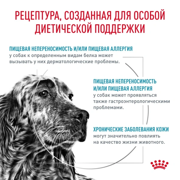 Корм для собак Royal Canin оптом. 